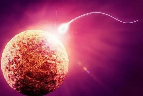 2022上海哪個醫院做試管嬰兒成功率最高？多長時間？