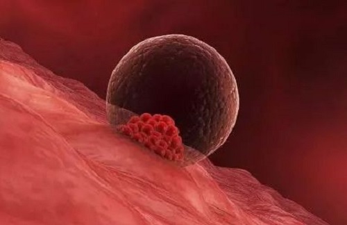 2020有去博鰲試管三代成功的嘛？要花多少錢？