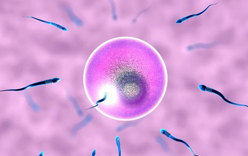 2018赴泰試管必備攻略大全