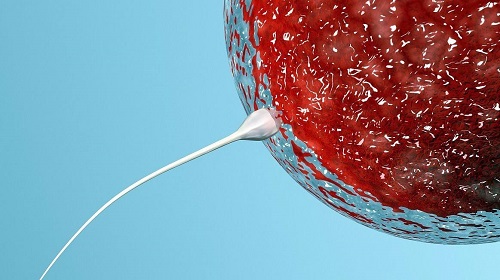 2020有去博鰲試管三代成功的嘛？要花多少錢？