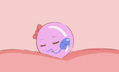 10個人做試管嬰兒幾個能成功？做試管一次成功的是哪些？