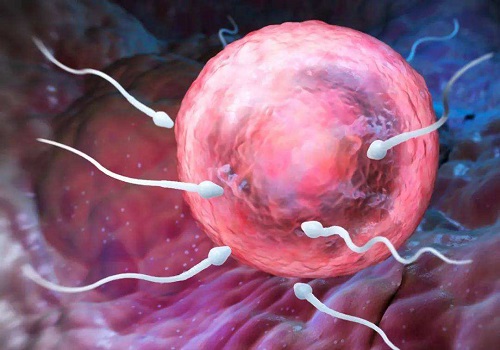 2022哈爾濱試管嬰兒價格多少？