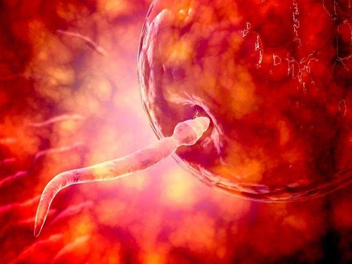 2022做第三代試管嬰兒需要多少時間？