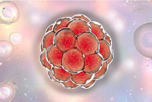 2021哈爾濱第三代試管嬰兒醫院排行榜有幾家？