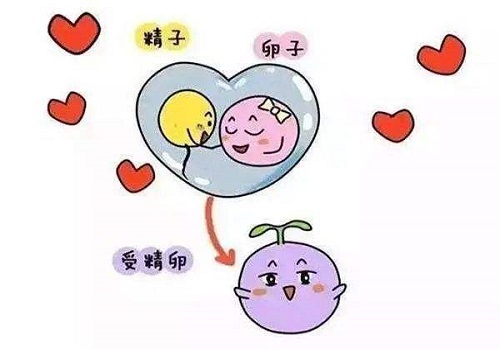 10個人做試管嬰兒幾個能成功？多大年齡都可以做嗎？