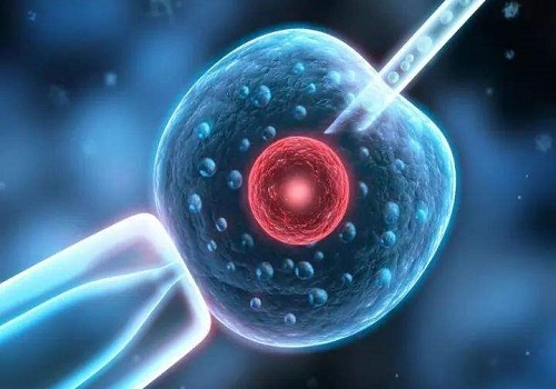 2022年三代試管多少錢