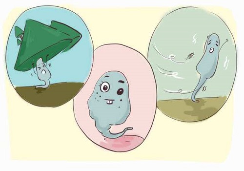 2022哪個醫院做試管成功率高