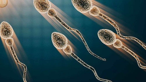 2021第三代試管篩查多少??？