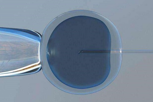 2022廣州第三代試管嬰兒多少錢？