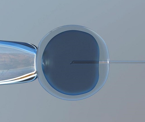 2021有胚胎第二次試管嬰兒流程怎樣的？