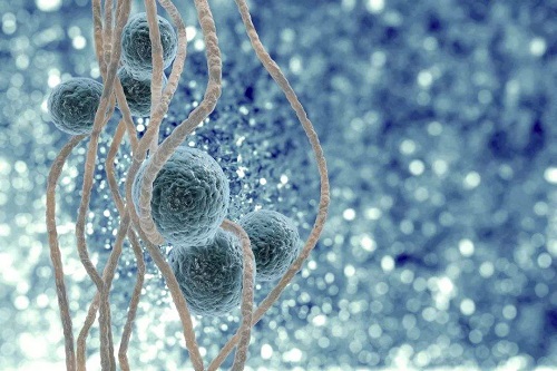 三代試管移植流程中要注意什么？