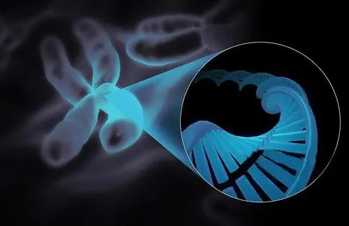 2022年三代試管多少錢