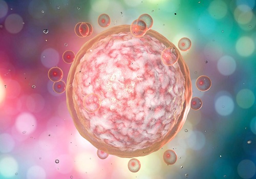 2016試管嬰兒費用總結，這些因素都會導致費用增加