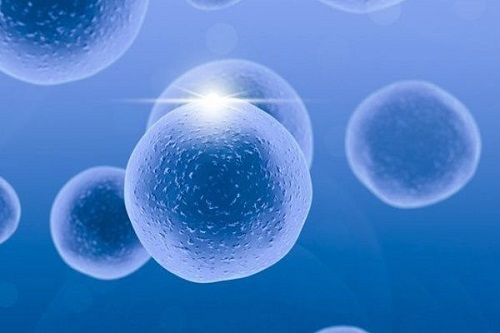 2021年36歲和37歲做試管嬰兒成功率有什么區別？