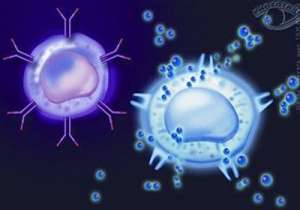 試管嬰兒費用和單胎一樣嗎