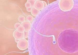 泰國試管嬰兒到底要花多少錢