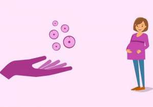 美國試管費用大約多少