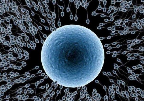 哪些因素影響試管嬰兒移植的成功