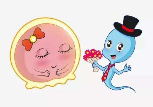 泰國第三代試管嬰兒優勢，好處有哪些