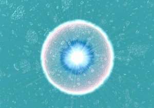 二次赴泰進行試管凍胚移植至少停留多久