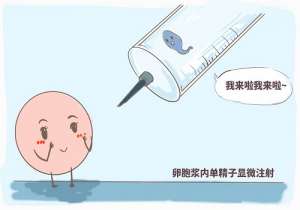 試管價格費用多少錢