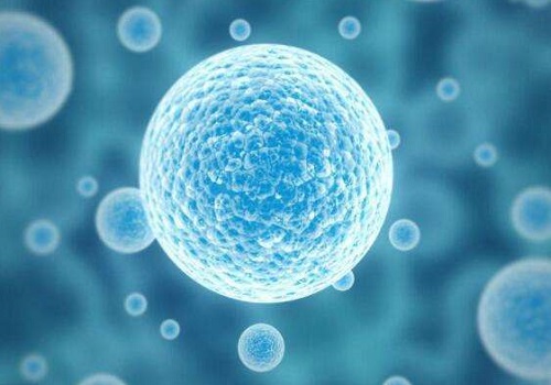 美國試管嬰兒多少費用