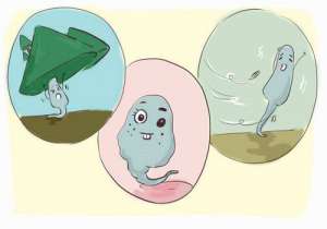 俄羅斯第三代試管嬰兒的費用究竟要多少