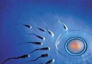 泰國試管哪家醫院的成功率最高