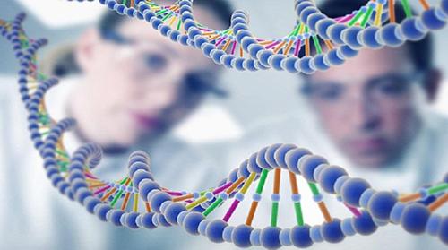 試管嬰兒的成功率有多少