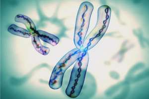 一般做試管嬰兒要多少錢