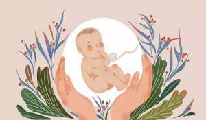 試管嬰兒得基本流程有什么?