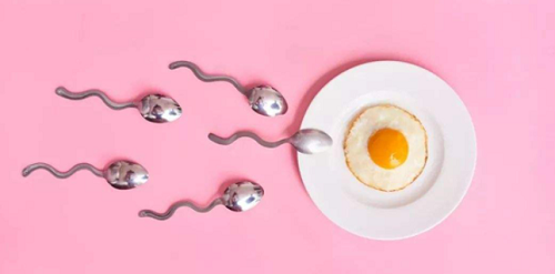 美國試管成功率多少?