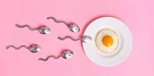 美國試管成功率多少?