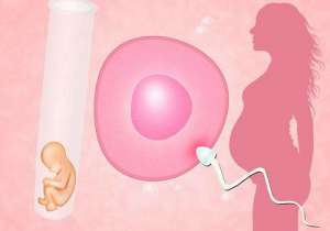 做一次試管嬰兒到底要花多少錢