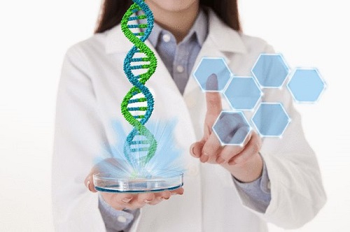 選擇美國、泰國、國內做試管對比