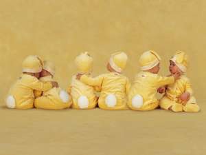 試管嬰兒是怎么做的