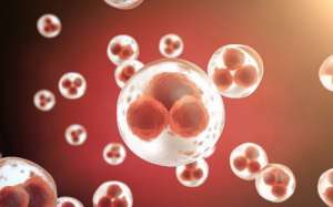 任何人都可以做俄羅斯三代試管嗎