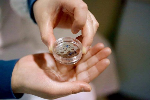 做泰國試管嬰兒的好處在哪里