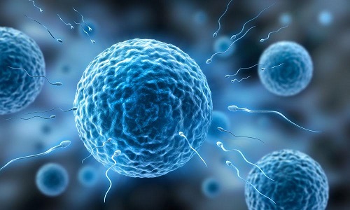 自己去泰國做試管嬰兒大概多少錢