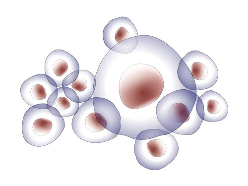 去一次泰國做試管嬰兒多少費用