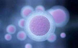 試管嬰兒流程詳細解讀