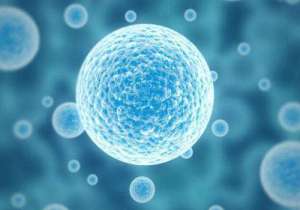 現在做試管嬰兒大概多少錢