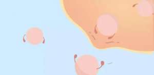 怎樣選擇美國試管嬰兒醫院