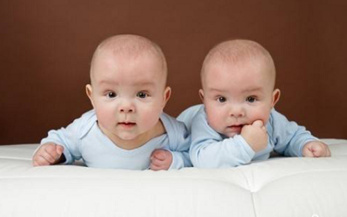 美國試管嬰兒步驟及費用是多少