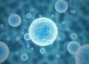 俄羅斯第三代試管嬰兒怎么樣