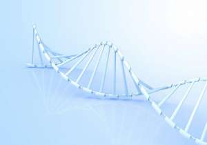 泰國試管嬰兒中介費用多少錢