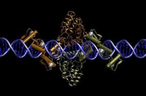 俄羅斯的試管嬰兒都有哪些優勢