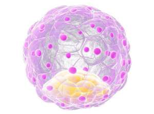 泰國試管嬰兒費用大約多少錢