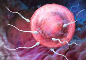 俄羅斯試管嬰兒技術優勢是什么