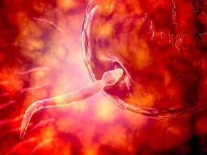 俄羅斯試管嬰兒到底有什么優勢呢